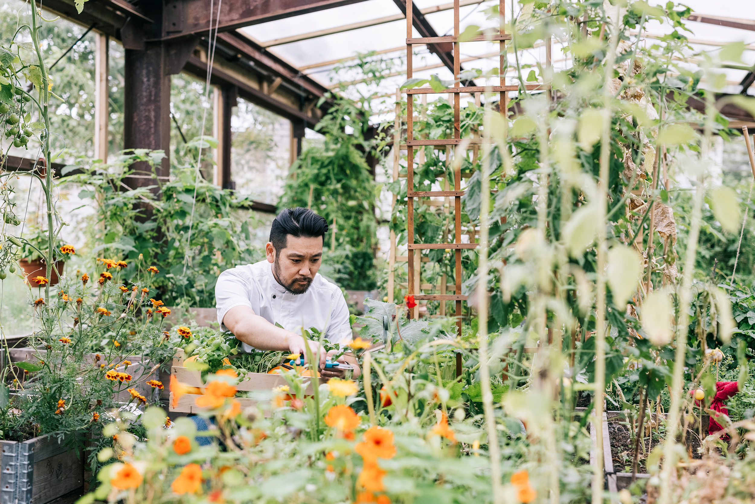How can you make the bakery more sustainable?