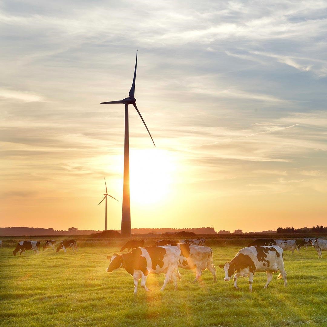 How can you communicate about your sustainable initiatives?