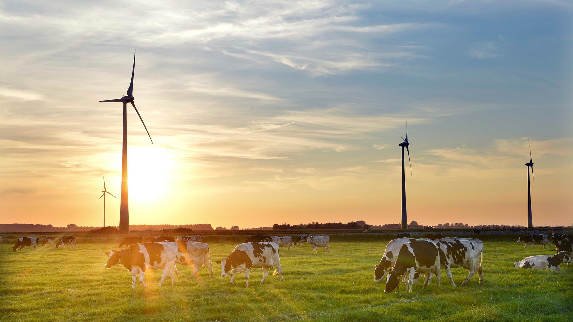 How can you communicate about your sustainable initiatives to the market?